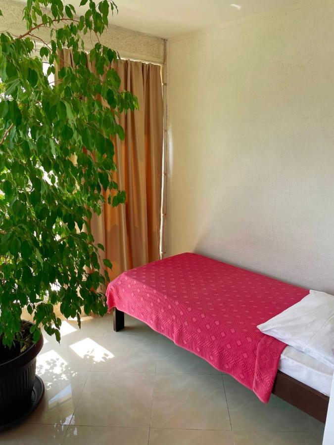 Apartmani Mina Herceg Novi Kültér fotó
